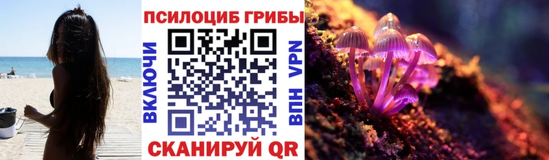 Галлюциногенные грибы Psilocybine cubensis  Спасск-Рязанский 